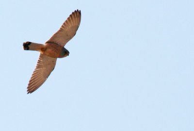 g12/24/1048224/3/171048448.Gb6mJL5d.jpg