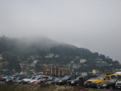 San Francisco Mist