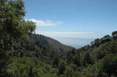 DSC_0266.JPG