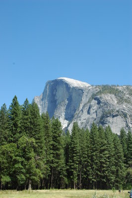 DSC_0299.JPG