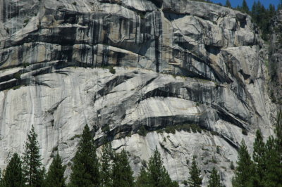 DSC_0305.JPG
