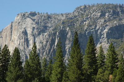 DSC_0311.JPG