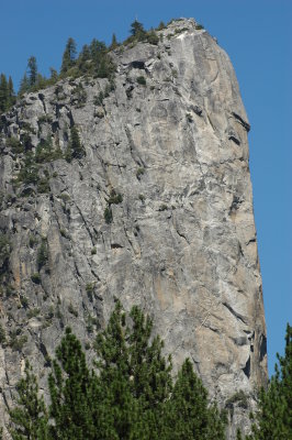 DSC_0316.JPG