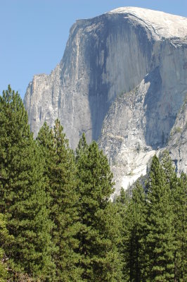 DSC_0318.JPG