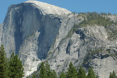 DSC_0321.JPG