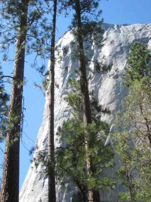 IMG_1746.JPG