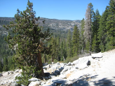 IMG_1750.JPG