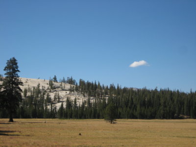 IMG_1765.JPG
