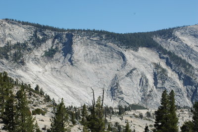 DSC_0330.JPG