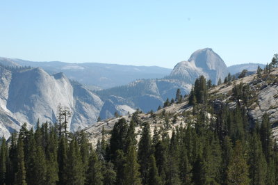 DSC_0331.JPG