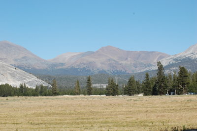 DSC_0333.JPG