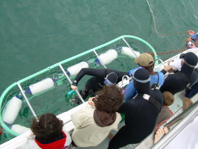 DSCN0032.JPG