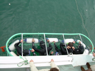 DSCN0035.JPG