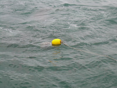DSCN0040.JPG