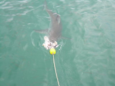 DSCN0047.JPG