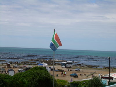 DSCN0049.JPG