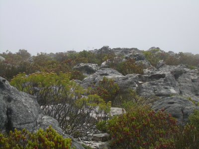 DSCN0100.JPG