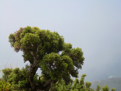 DSCN0101.JPG