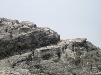 DSCN0102.JPG