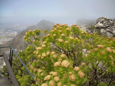 DSCN0104.JPG