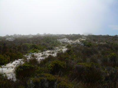 DSCN0112.JPG