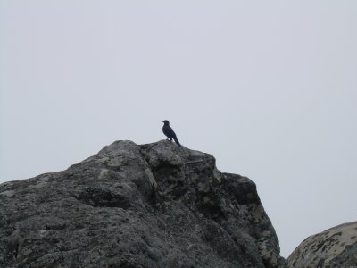 DSCN0114.JPG