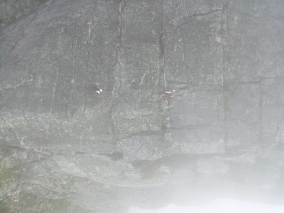 DSCN0118.JPG