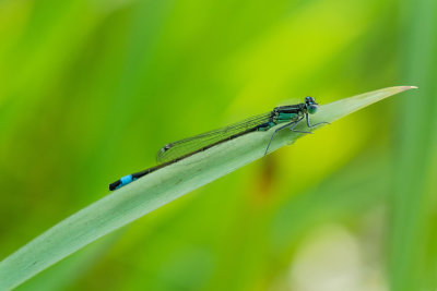 DSCF6104