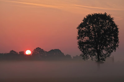 Ochtendstond heeft goud in de mond! (Losser)