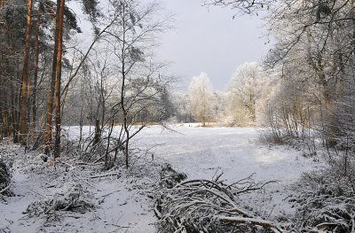 Vliegveldweg / Hengelo