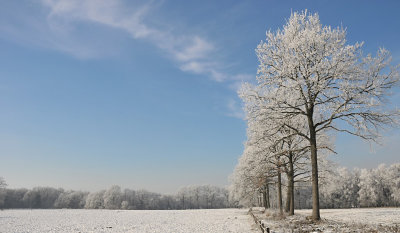 Vliegveldweg / Hengelo