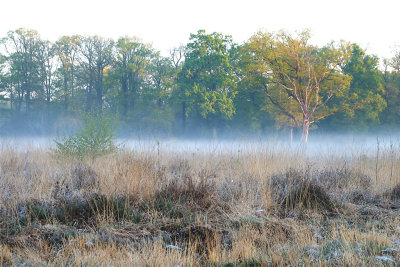 Landgoed Twickel ontwaakt / Estate Twickel wake up.