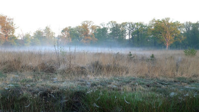 Landgoed Twickel ontwaakt / Estate Twickel wake up.