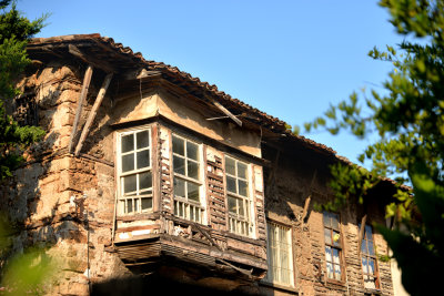 DSC_4434.jpg