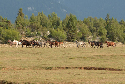DSC_1457.jpg