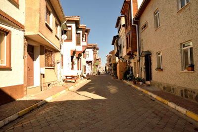 DSC_8124.jpg