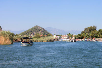 IMG_7990.jpg