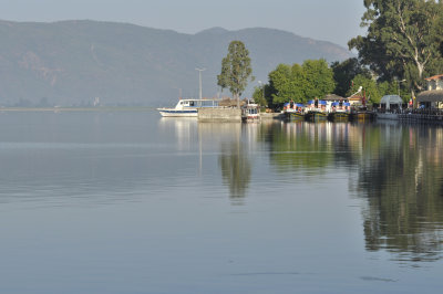 _DSC4000.jpg