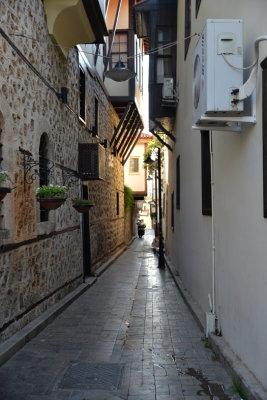 DSC_4433.jpg