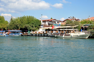 DSC_2041.jpg