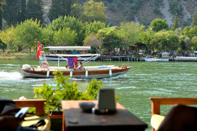 DSC_7333.jpg