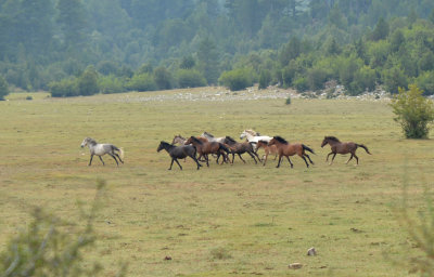 DSC_1431.jpg
