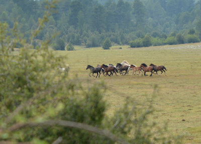 DSC_1434.jpg