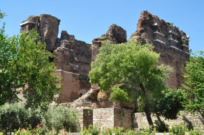 DSC_0436.jpg