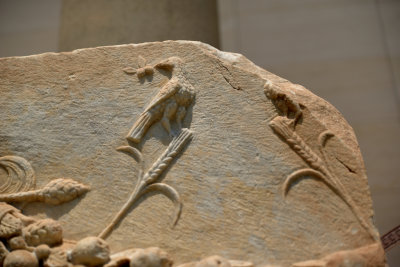 DSC_4614.jpg