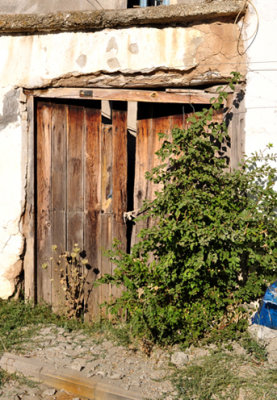 DSC_0300.jpg