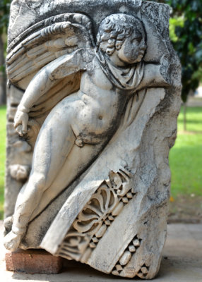 DSC_4561.jpg