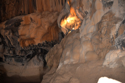 DSC_111.jpg