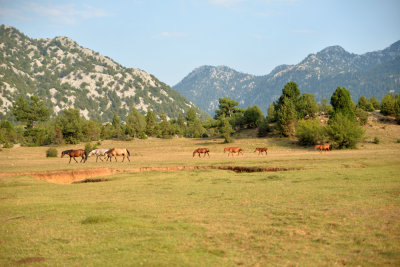 DSC_1502.jpg