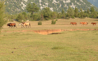 DSC_1503.jpg